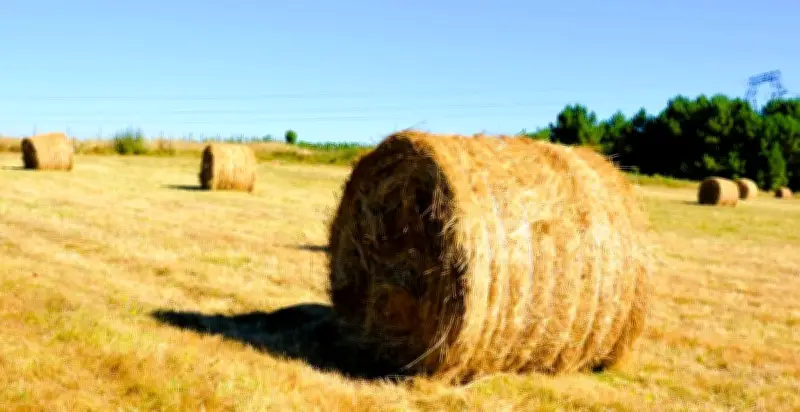 Concours photo à Laruscade pour les Journées du patrimoine 2026