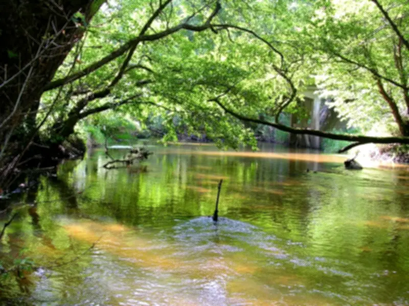 Conférence et film-débat sur la forêt en Sud-Gironde