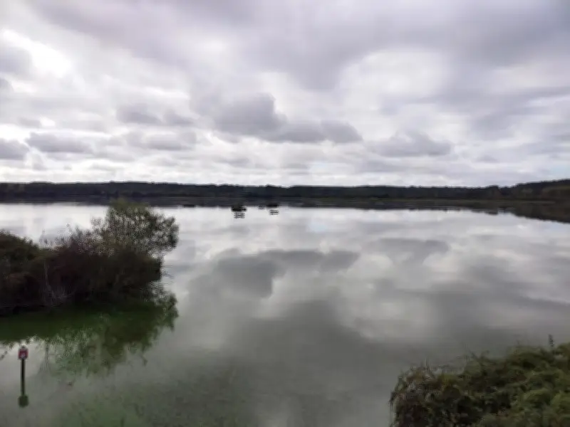 Conférence sur le marais d'Orx : un trésor écologique et historique à préserver