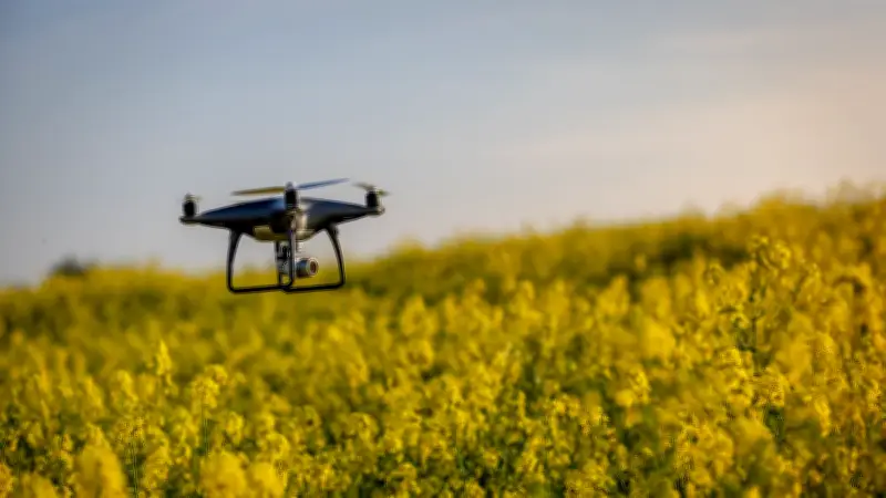 Couple singapourien arrêté à Oslo pour vol de drone