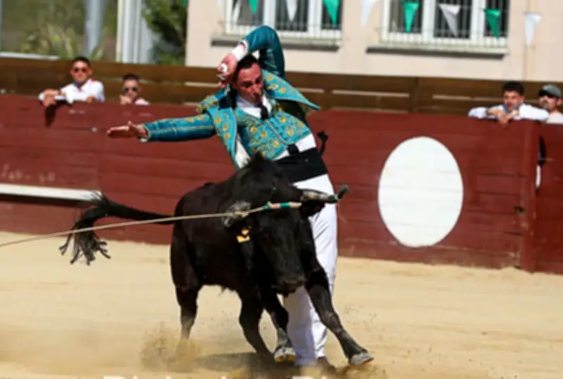 Course Landaise 2026 : Une Saison Historique Démarre avec Ambition et Défis