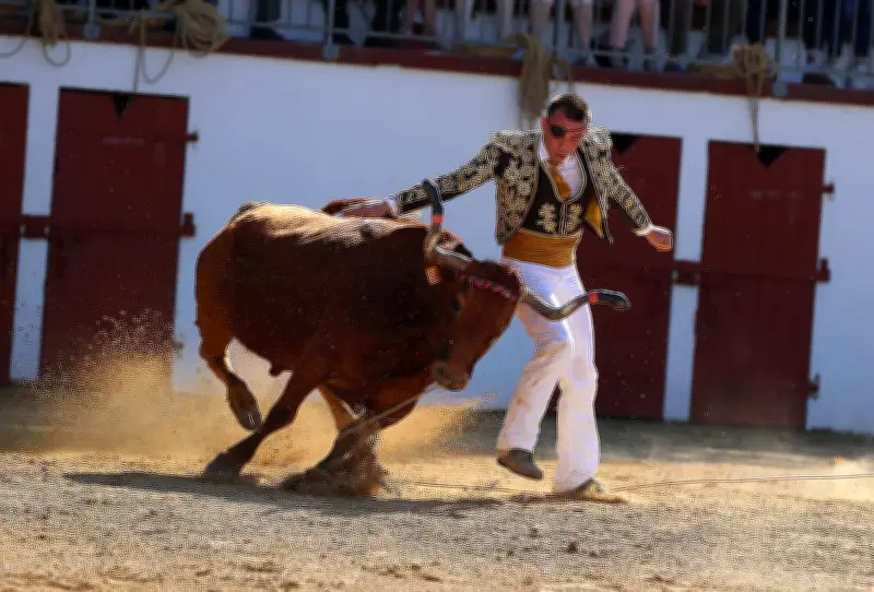 Course landaise caritative pour la migration des oiseaux et traditions rurales