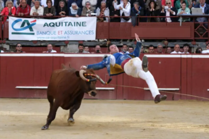 Course landaise : la Fédération française conteste le système de primes de l'Urssaf