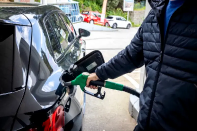 Crise des carburants en Corse : le bouclier tarifaire de TotalEnergies provoque des files d'attente interminables
