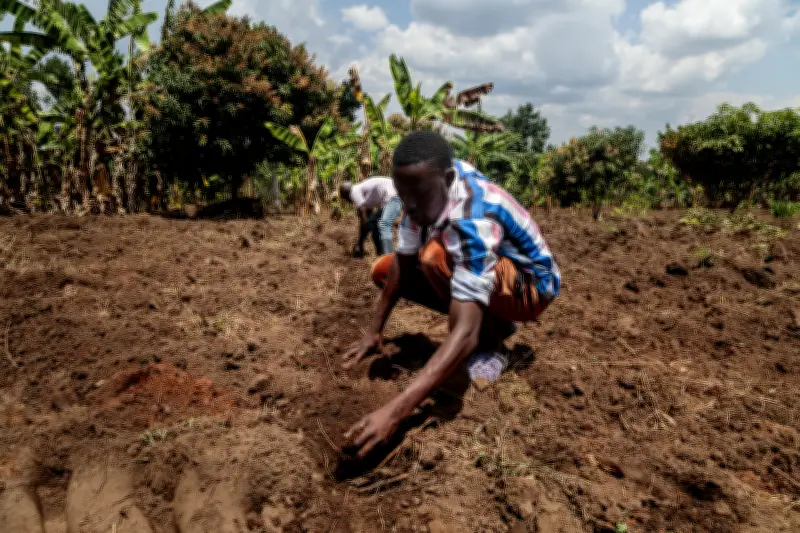 Crise énergétique mondiale : la fermeture du détroit d'Ormuz menace la sécurité alimentaire en Afrique