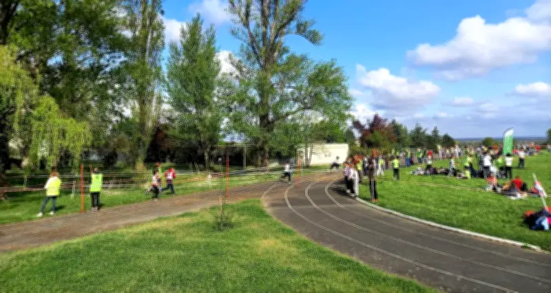 Cross du Sauternais : 349 élèves découvrent l'effort et le patrimoine viticole