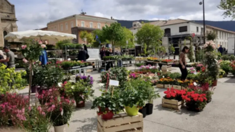 Côté jardin, côté court : le retour tant attendu de la foire printanière à La Grand-Combe