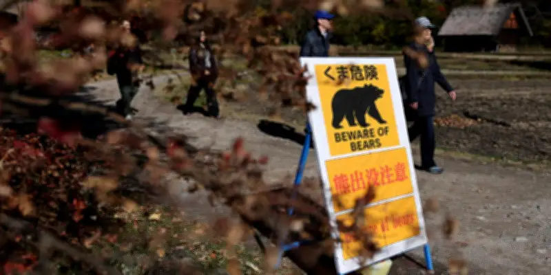Dans le nord du Japon, la population réapprend à coexister avec l'ours brun