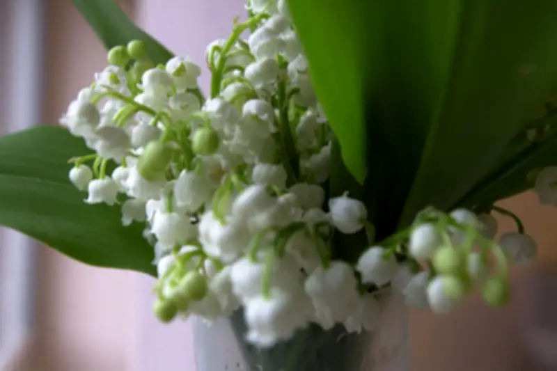 Débat sur le travail le 1er-Mai : petits commerçants et grandes enseignes s'expriment