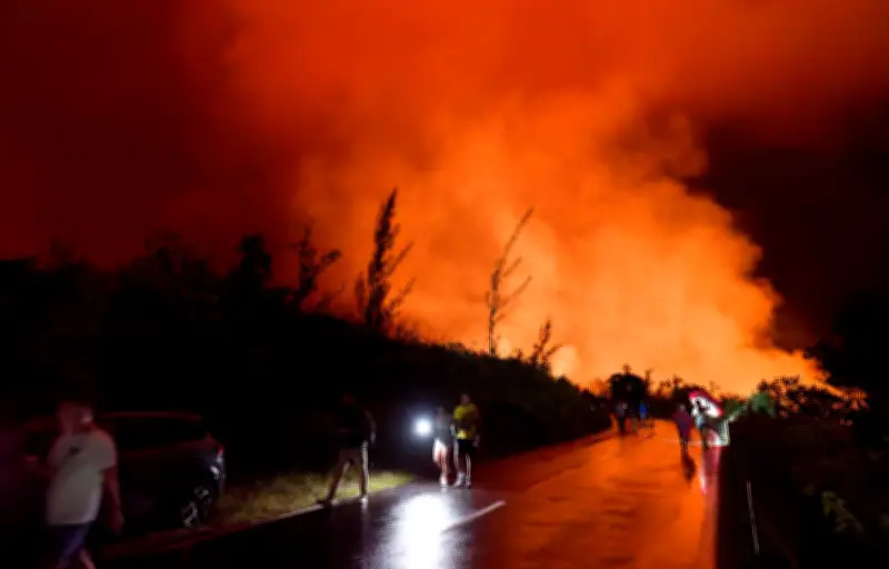 Début des travaux pour rouvrir la RN2 à La Réunion après l'éruption