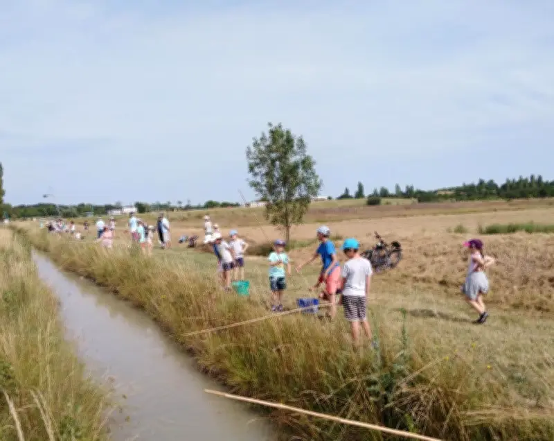 Découverte de la pêche et observation des anguilles organisées par l'AAPPMA Seudre Atlantique