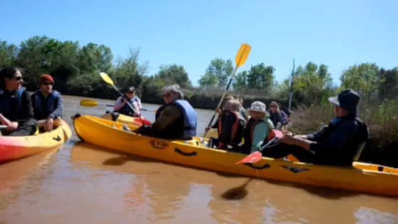 Découverte du Bagnas en canoë sur le Canal du Midi : une balade nature unique