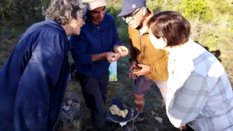 Découverte du baguage d'oiseaux avec la LPO en Aveyron