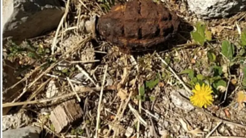 Découverte d'une grenade ancienne dans un jardin familial près de Montpellier