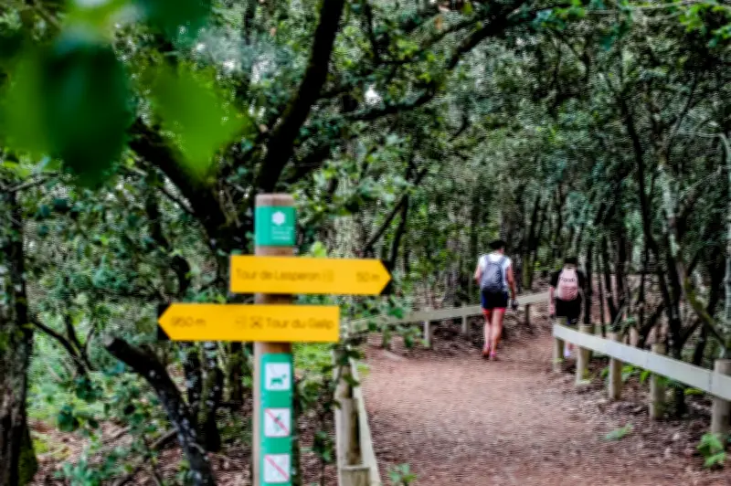 Découvrez les araignées de la réserve du Cousseau à Lacanau