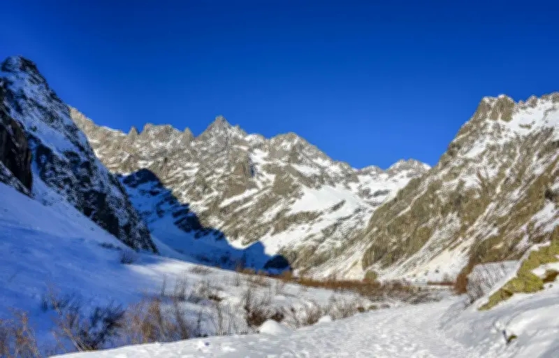 Décès d'un homme de 66 ans sur une piste de ski à Puy-Saint-Vincent