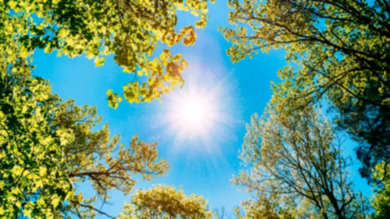 De -20°C à 20°C en 10 jours : le village suisse de La Brévine subit un écart thermique record