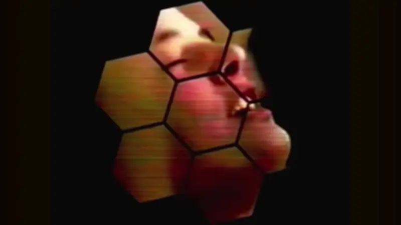 De Céline Dion à Boards of Canada : le retour en musique cache souvent un autre