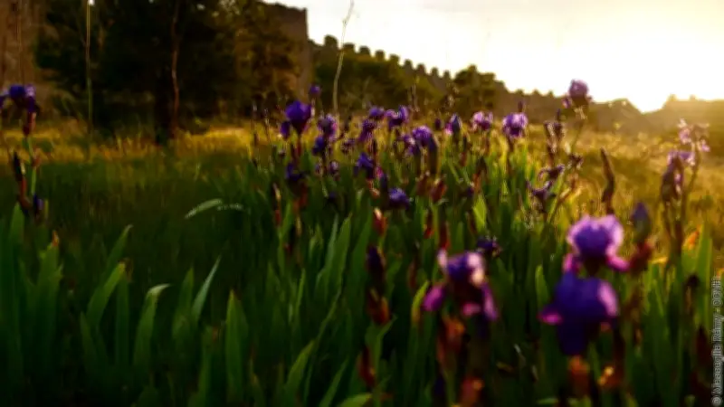 Demain la terre ! anime l'Hérault avec des balades et ateliers printaniers