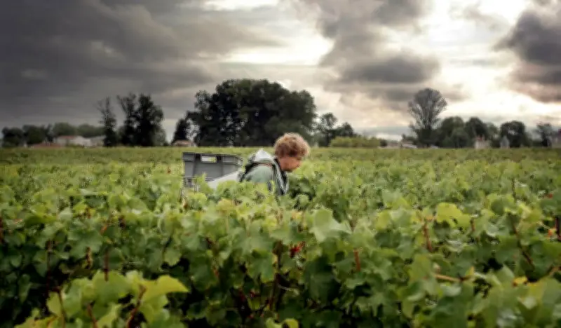Demeter France organise des rencontres professionnelles sur la biodynamie à Mérignac