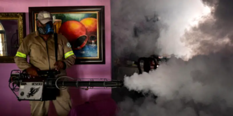 Dengue : la recherche s'accélère face à une saison 2026 potentiellement record