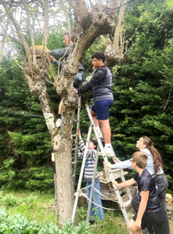 Des adolescents fabriquent des nichoirs pour la biodiversité à Miramont