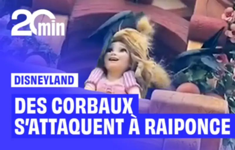 Des corbeaux attaquent la chevelure de Raiponce dans un parc Disney japonais