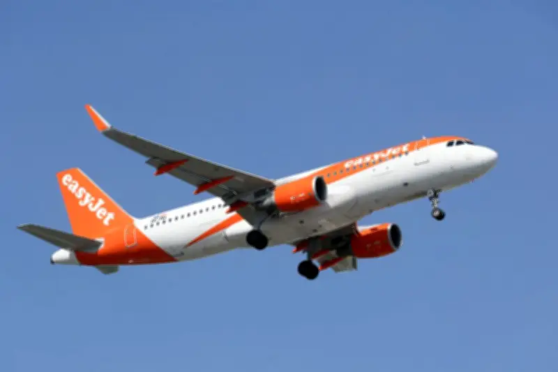 Des feux d'artifice perturbent l'atterrissage d'un avion EasyJet à Orly