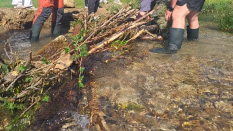 Des étudiants en BTSA reconstruisent un barrage castor détruit par des enfants