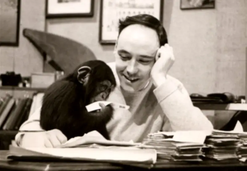 Desmond Morris, auteur du best-seller "Le Singe Nu", s'éteint à 98 ans