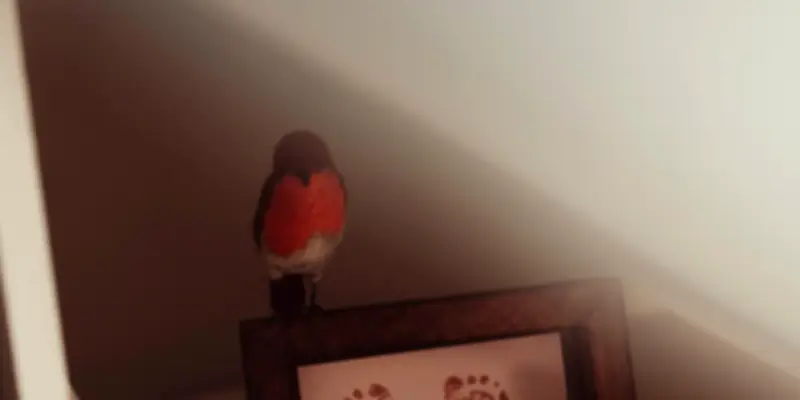 Deuil périnatal : comment un nouvel enfant permet de surmonter la perte