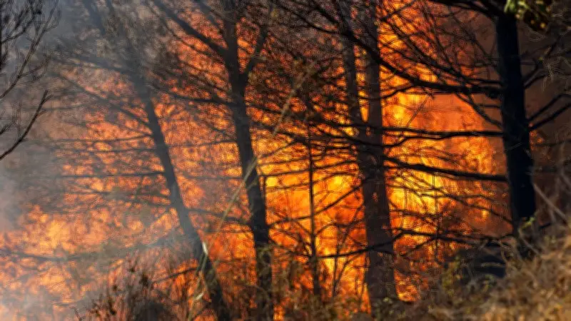 Deux incendies dans l'Hérault : brûlage mal maîtrisé et origine criminelle suspectée