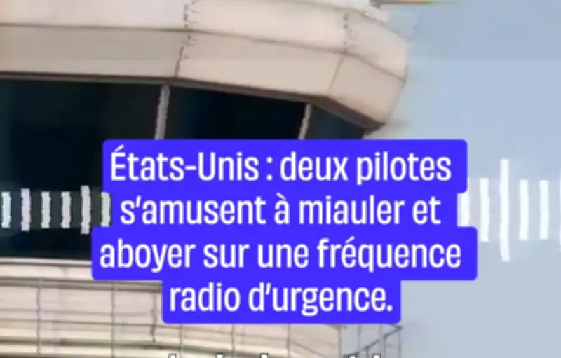 Deux pilotes américains miaulent et aboient sur la fréquence radio d'urgence à Washington