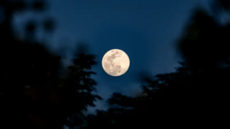 Deux pleines lunes en mai : lune des fleurs et lune bleue