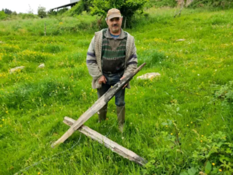 Dégradations volontaires dans les prés de Savignac-Lédrier