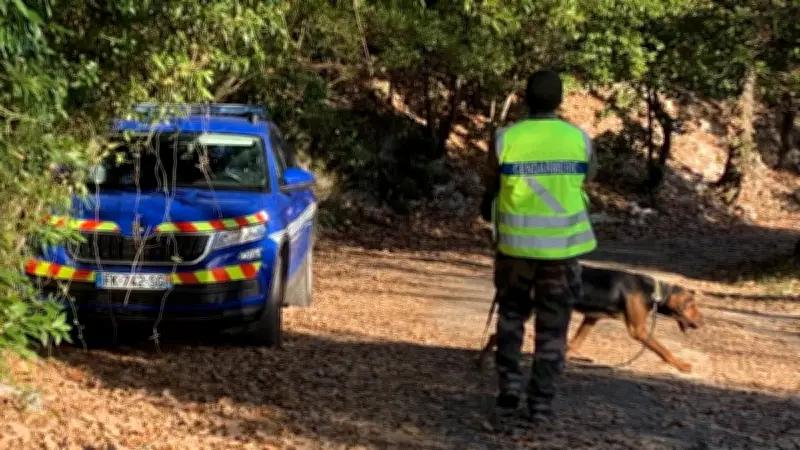 Disparition à Brissac : un homme de 68 ans retrouvé mort près de chez lui