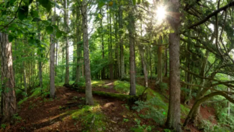 Disparue au Texas, retrouvée en Écosse vivant avec une tribu africaine