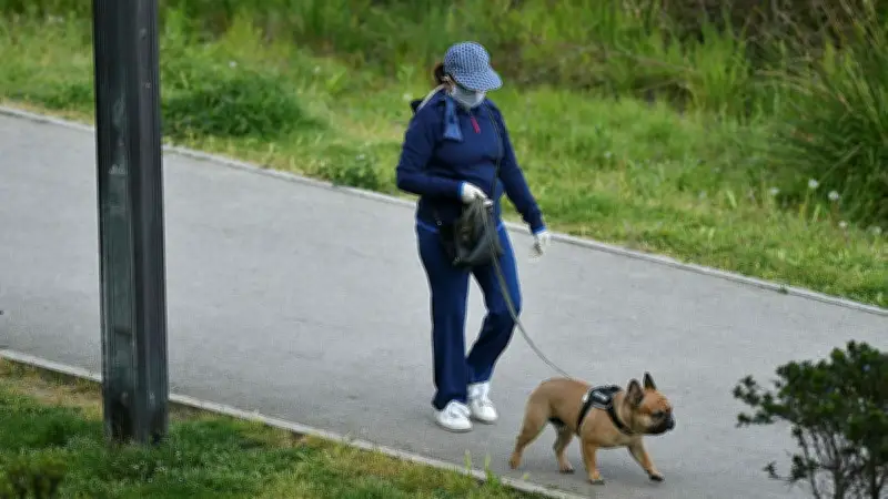 Déjections canines à Poilhes : la mairie durcit le ton avec des amendes