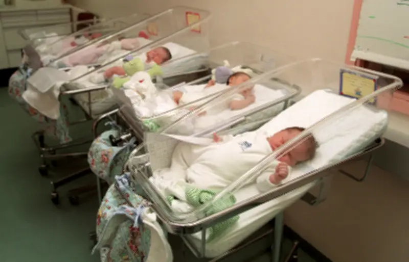 Démographie : la bombe tranquille qui bouleverse nos sociétés