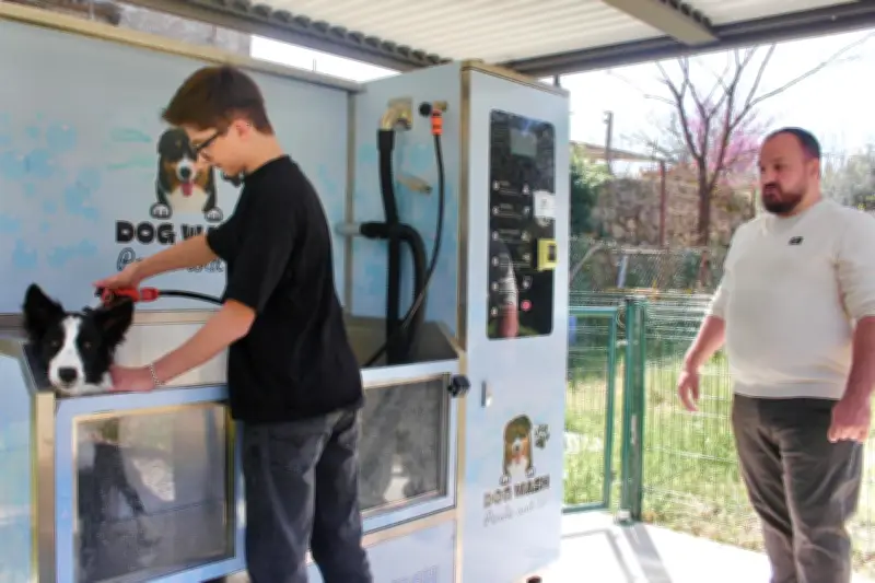Dog Wash Perle & Co : une station de lavage canin à Mouans-Sartoux
