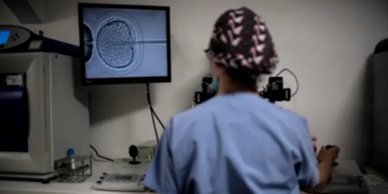 Don de gamètes : la quête essentielle des origines pour les personnes conçues