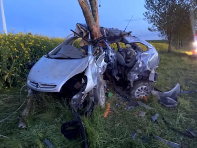 Drame de la Marne : quatre jeunes passionnés de mécanique tués dans un accident