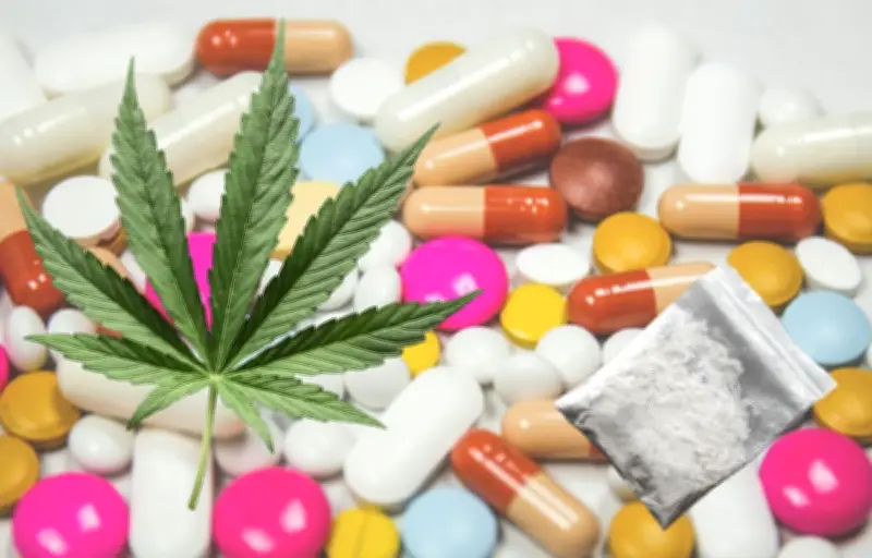 Drogues : l'impact environnemental caché de la production révélé par des études