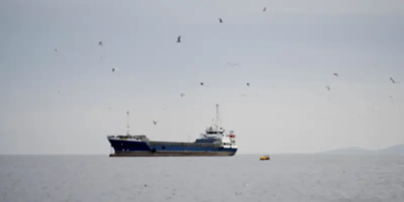Détroit d'Ormuz : la déstabilisation maritime, une responsabilité partagée
