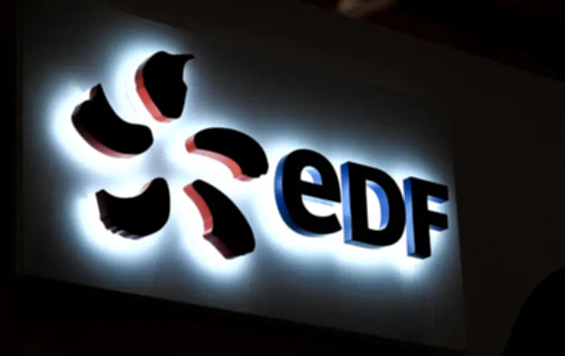EDF déploie 240 millions d'euros pour accélérer la transition électrique des ménages et entreprises