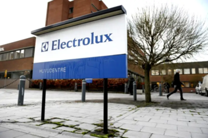Electrolux supprime 3000 emplois et lève 830 millions d'euros