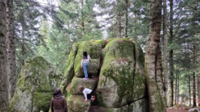 En Lozère, le sentier des Fées : 3,5 km de forêt et légendes locales
