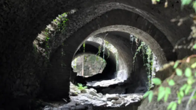 En Lozère : visite de la mine d'argent, sortie crépuscule, quête du Souvenir français