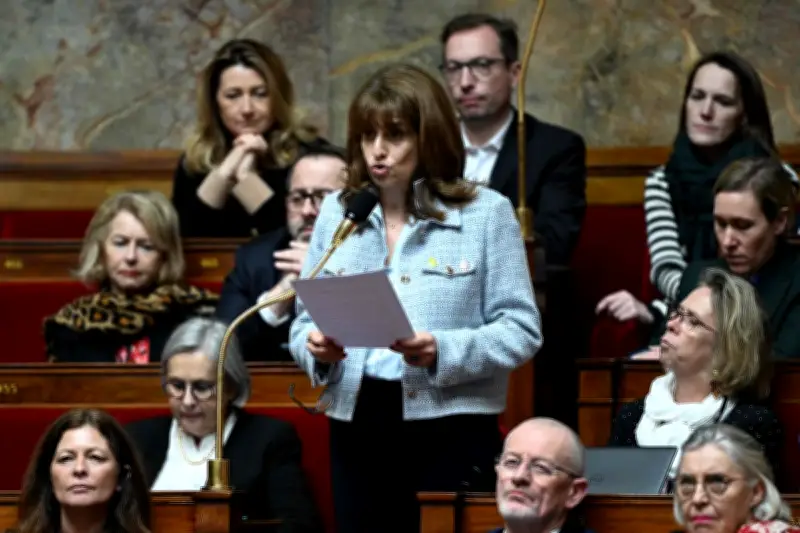 Ensemble retire sa proposition de loi face à l'obstruction de LFI, priorité au projet gouvernemental