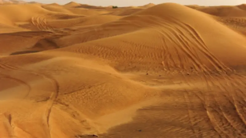 Escroc russe et sa femme retrouvés démembrés dans le désert de Dubaï